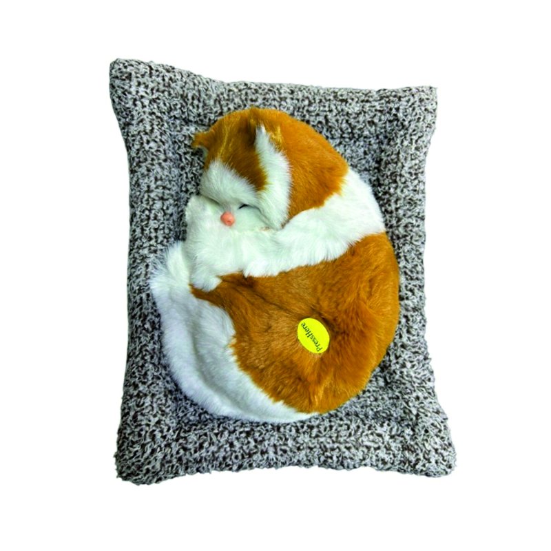 Kedi Büyük Sesli